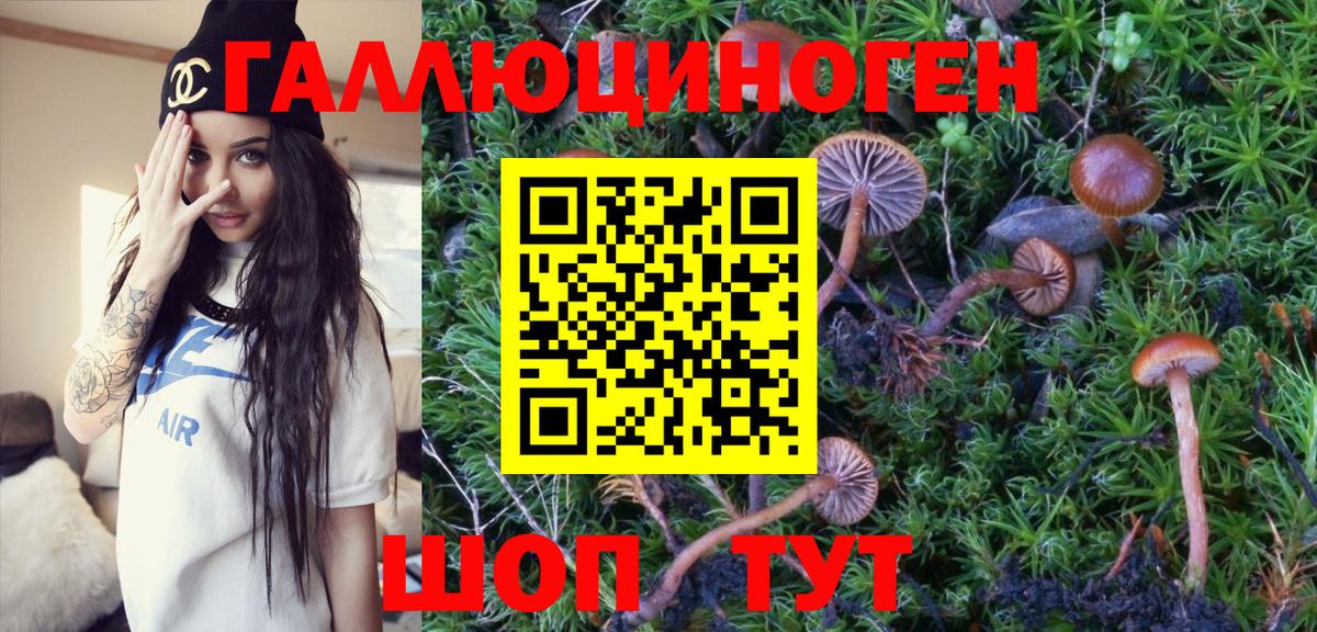 Дедовск  Галлюциногенные грибы MAGIC MUSHROOMS  Вход с VPN 